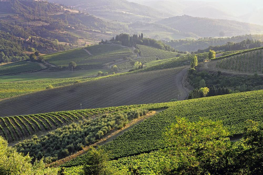 Fattoria Poggerino Bed and Breakfast Radda in Chianti Kamer foto