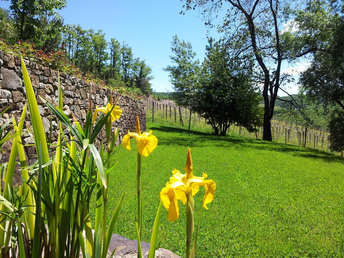 Fattoria Poggerino Bed and Breakfast Radda in Chianti Buitenkant foto